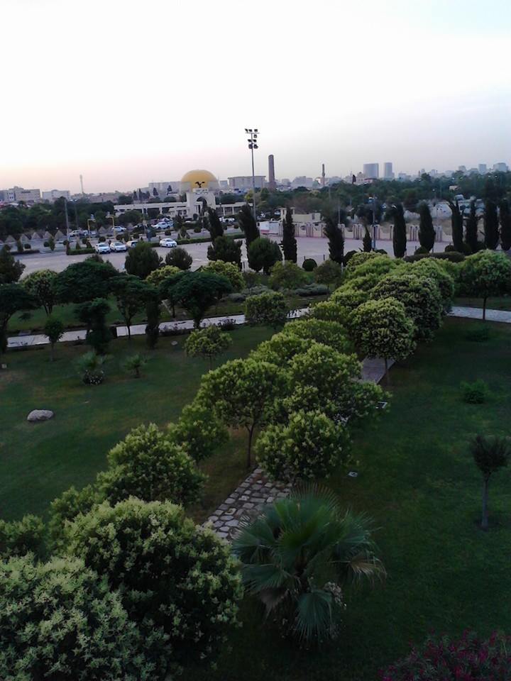 المجال الأخضر في شاندر · 2016